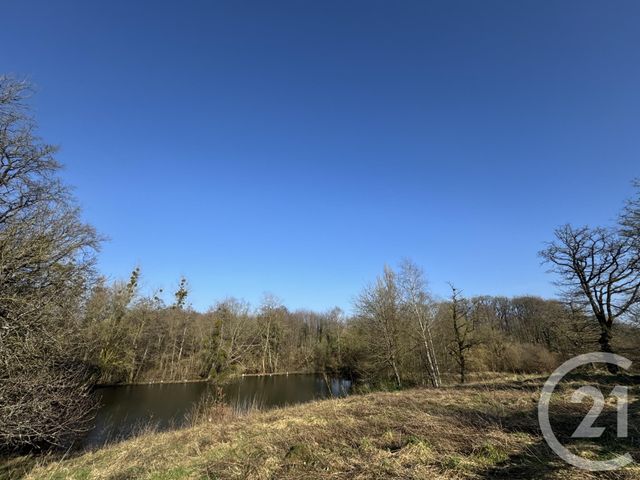 maison à vendre - 11 pièces - 274.0 m2 - LASSAY LES CHATEAUX - 53 - PAYS-DE-LOIRE - Century 21 Agence Pays D'Andaines