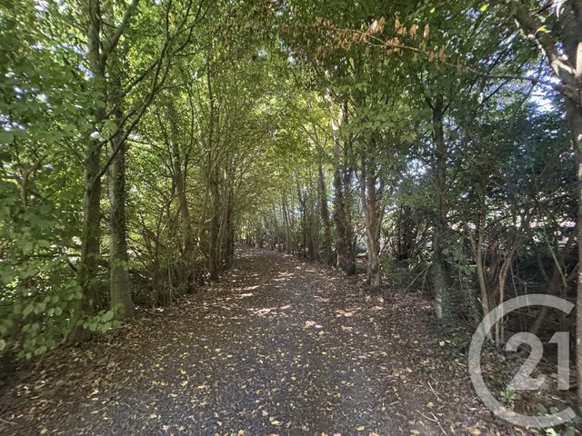 Afficher la photo en grand maison à vendre - 11 pièces - 280.0 m2 - ST LOUP DU GAST - 53 - PAYS-DE-LOIRE - Century 21 Agence Pays D'Andaines